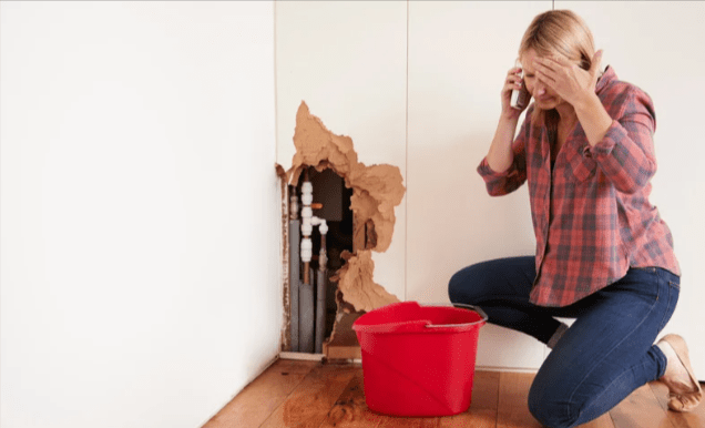 A woman stressing over a burst pipe in her wall.