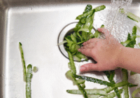 veggies down the drain